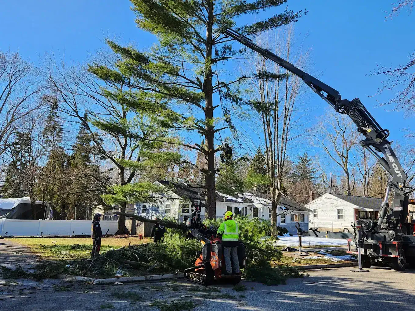 Tree Company in Novi, MI | True Cut Tree Care