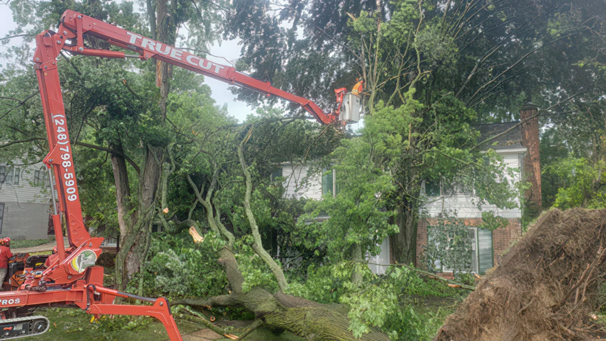 Summer Storm Damage Tree Removal Michigan | True Cut Tree Care
