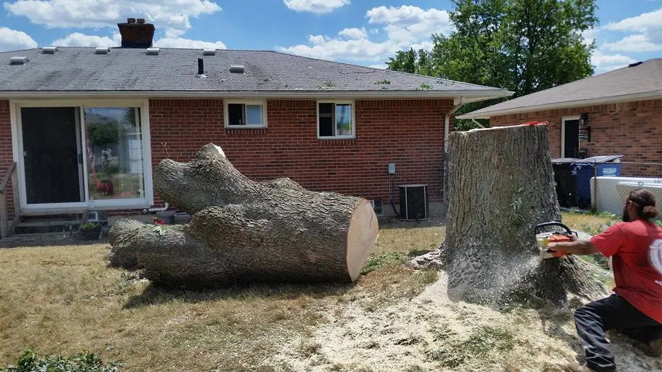 Professional tree removal in Farmington Hills MI using advanced equipment