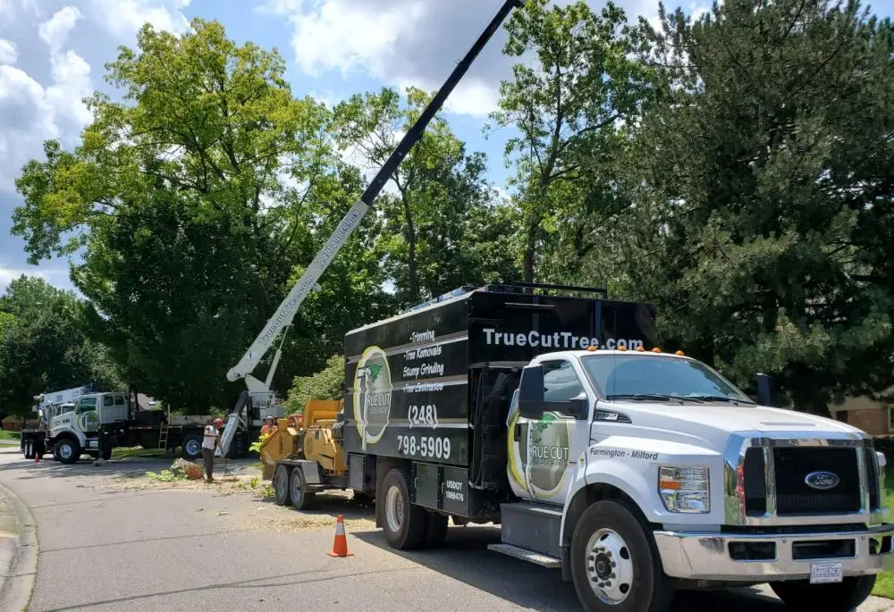 tree company in Farmington Hills, MI; tree company; tree company near me; tree services